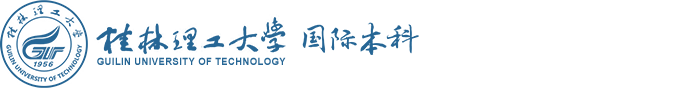 广西国际本科教育招生网